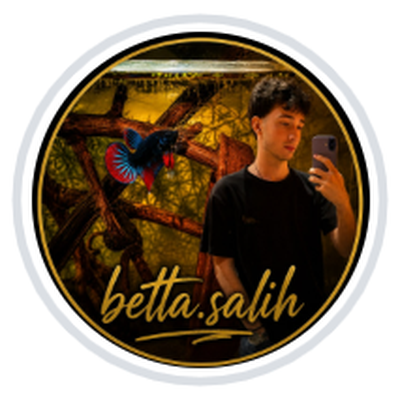 betta.salih