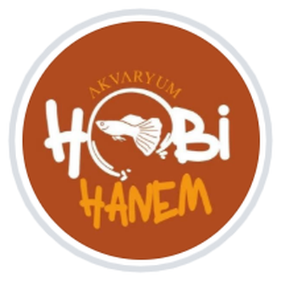 hobihanem